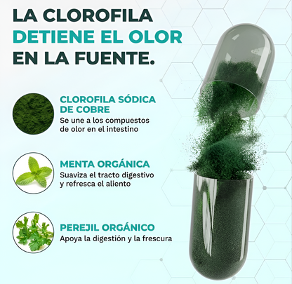 Desodorante Corporal Interno Purae®